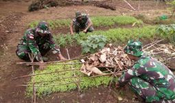 Prajurit TNI di Perbatasan RI-PNG Memanfaatkan Lahan Kosong Jadi Kebun Sayur - JPNN.com