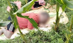 Sopir Sayuran Ditemukan Tewas di Kebun Jagung - JPNN.com