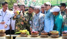 Mentan Syahrul Dukung Pengembangan dan Ekspor Buah Indonesia - JPNN.com