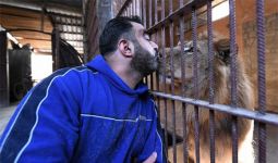 Perang Suriah Bukan Halangan Untuk Mencium Singa atau Berbincang dengan Harimau - JPNN.com