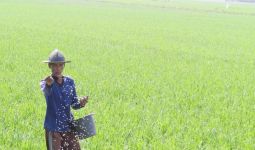 Sukabumi Siap Lindungi Lahan Pertanian dengan Semua Peraturan - JPNN.com