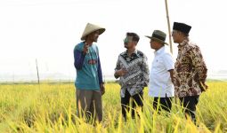 Kementan Bangun Kekuatan SDM Pertanian Demi Wujudkan Visi Indonesia Maju - JPNN.com