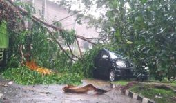 Bruk, Dua Mobil Remuk Tertimpa Pohon di Halaman Dishub Bogor - JPNN.com