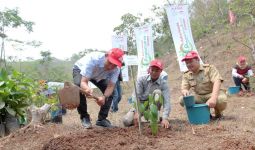 Astra Honda Motor Bangun Lingkungan dengan Program 1.000 Pohon Buah Langka - JPNN.com