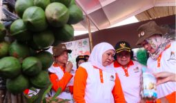 Mau Jadi Jutawan? Yuk Taman Pohon Kacang Termahal di Dunia dari KLHK - JPNN.com