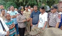 Sindikat Pencuri Kerbau di Kota Bogor Digulung Polisi - JPNN.com