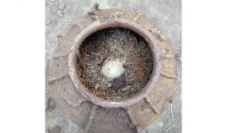 Telur Berusia 500 Tahun Ditemukan dalam Kondisi Utuh di Makam Kuno Tiongkok - JPNN.com