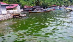 Mendadak Air Laut di Perairan Padang Berubah jadi Hijau - JPNN.com