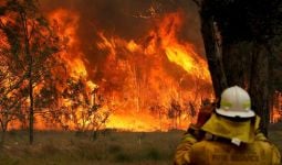 Kebakaran Lahan Hancurkan Satu Kota di Australia - JPNN.com