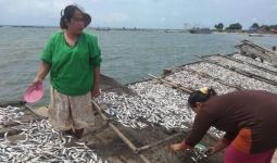 Setahun Pascatsunami, Ekonomi Nelayan Pandeglang Menggeliat - JPNN.com