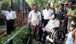 Kebun Binatang Surabaya Kini Dilengkapi Jogging Track - JPNN.com