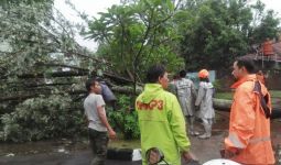 Bandung Dikepung Banjir dan Pohon Tumbang - JPNN.com
