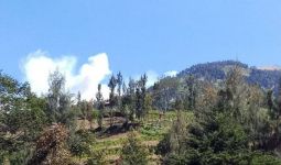 Dampak Karhutla, Gunung Merbabu Ditutup saat Malam Tahun Baru - JPNN.com