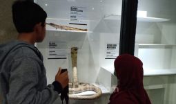 Ingin Lihat Ular, Warga Jabodetabek Sambangi Museum Reptil - JPNN.com