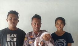 Aksi Heroik Brigpol Alfred Selamatkan Bayi 9 Bulan Tercebur ke Laut - JPNN.com