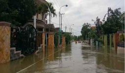 Banjir Luapan Kali Lamong Meluas, Pemerintah Diminta Gerak Cepat - JPNN.com