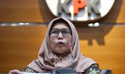Konon, Lili Pintauli Siregar Menelepon Wali Kota Tanjungbalai, Menyebut Nama Fahri - JPNN.com