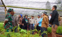 225 Kebun Bibit Desa Siap Hijaukan Bogor dan Lebak - JPNN.com
