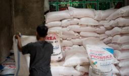 Penyaluran Pupuk Subsidi Akhir Maret Capai 2,3 Juta Ton - JPNN.com