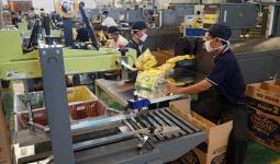 Pabrik Softex Indonesia di Sidoarjo Dilengkapi 7 Mesin Produksi - JPNN.com