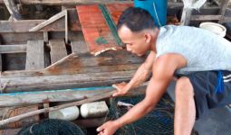 Laut Tercemar Limbah Misterius, Ribuan Ikan Mati Terapung - JPNN.com