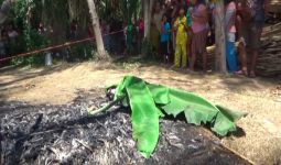 Seorang Perempuan Dibakar di Kebun Kelapa, Tak Ada yang Mengenali Jasadnya - JPNN.com