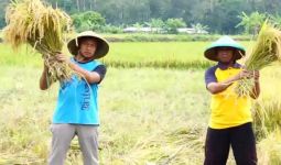 Peluang Bisnis Pertanian Terbuka Lebar, Kementan Ajak Generasi Muda Mau Bertani - JPNN.com