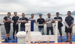 Bea Cukai Palembang Amankan Koper Berisi 17 Ribu Ekor Baby Lobster - JPNN.com