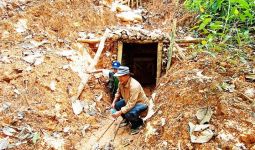 Bos Tambang Emas Ilegal di Gunung Halimun Salak Kabur - JPNN.com