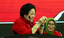 Megawati Kesal Melihat Realitas Politik Saat Ini - JPNN.com