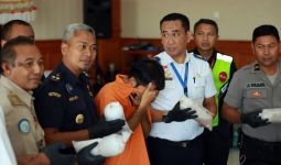 Bea Cukai Ngurah Rai Gagalkan Penyelundupan Baby Lobster Senilai Rp 1,5 M - JPNN.com