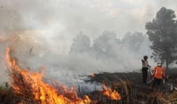 Karhutla di Riau Meluas, Tersangka Pembakaran Baru 21 Orang - JPNN.com