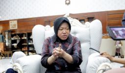 Wanti-wanti Anggota DPR Buat Tri Rismaharini dalam Memimpin Kemensos - JPNN.com