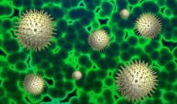 Jumlah Kematian Akibat Virus Corona di Spanyol Melampaui China - JPNN.com