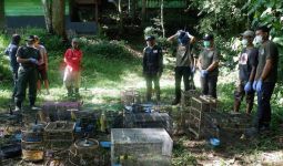 56 Burung Dilindungi Dilepasliarkan di TNBBS Lampung - JPNN.com