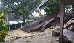 Longsor di Kabupaten Tanah Datar, 2 Orang Hilang - JPNN.com