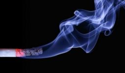 Guru Besar UGM: Siapa yang Klaim Merokok Bisa Cegah Corona? - JPNN.com