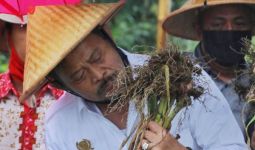 Mentan SYL Panen Bawang Putih di Temanggung, Produk Lokal Lebih Sedap - JPNN.com