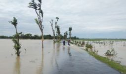 600 Ha Sawah Banjir, Petani Bisa Klaim Asuransi - JPNN.com