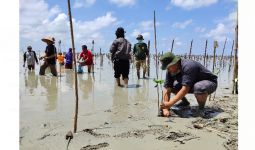 Pandemi Corona, Penyelamatan Mangrove Taman Nasional Way Kambas Tetap Berjalan - JPNN.com