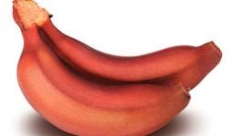 5 Manfaat Pisang Merah yang Tidak Terduga - JPNN.com