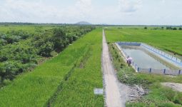 Kementan Bersama Kementerian Lain Kembangkan Food Estate di Kalteng - JPNN.com
