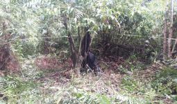 Mayat Membusuk di Puruk Cahu Itu Ternyata Warga Jawa Timur - JPNN.com