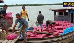 Bea Cukai Gagalkan Penyelundupan 13 Ton Bawang Merah dari Thailand - JPNN.com