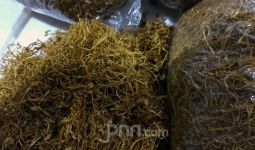 Kebijakan Cukai Produk Tembakau Alternatif di Indonesia Harusnya Proporsional dengan Risikonya - JPNN.com