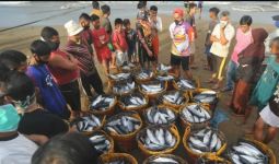Nelayan Kesusahan Jual Ikan, Tengkulak Pilih-Pilih - JPNN.com