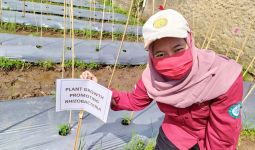 Ini Bukti Pertanian Menjanjikan Bagi Kaum Milenial, Penghasilan Sebulan Rp 500 juta - JPNN.com