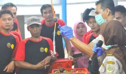 Ekspor Manggis Indonesia ke Tiongkok Naik Dua Kali Lipat di Masa Pandemi - JPNN.com