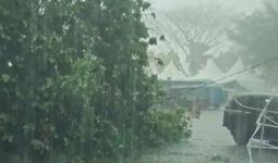 Jakarta Diguyur Hujan, Pohon Tumbang Menimpa Mobil di Jaksel - JPNN.com