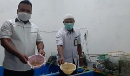 Polisi Amankan Penyelundup Benih Lobster, Nilainya Sangat Fantastis - JPNN.com